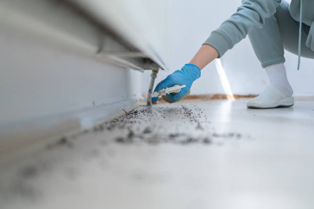 Best Ant Control Services  in Riverdale Park, MD